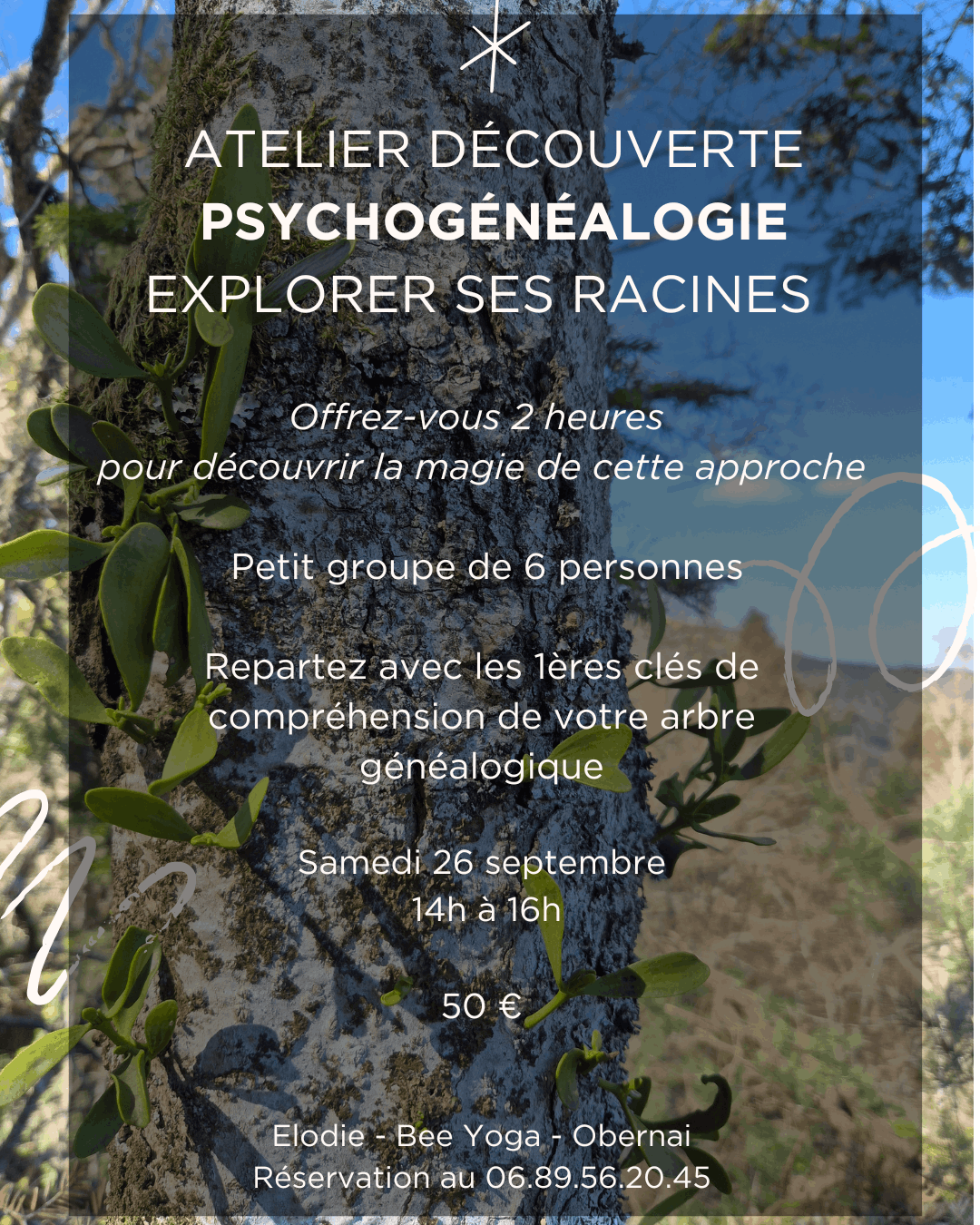 Atelier  Psychogénéalogie Obernai