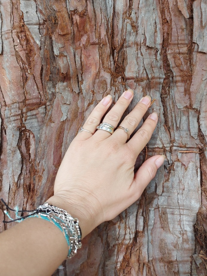 Atelier Cours Yoga Psychogénéalogie Obernai