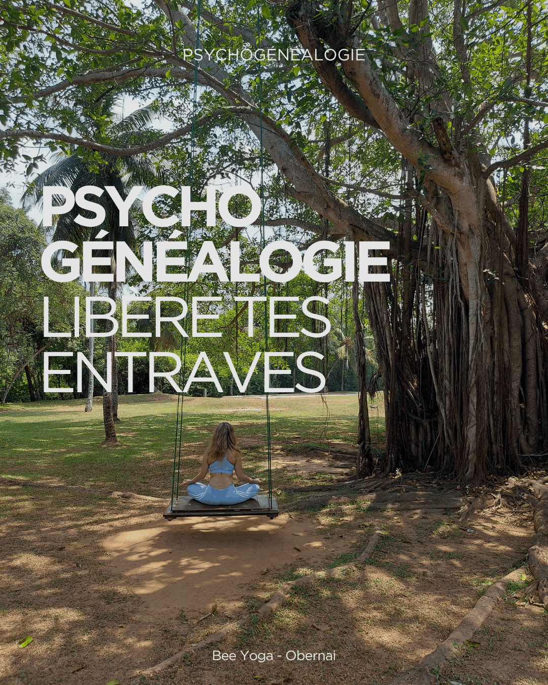 Psychogénéalogie Bee Yoga Obernai