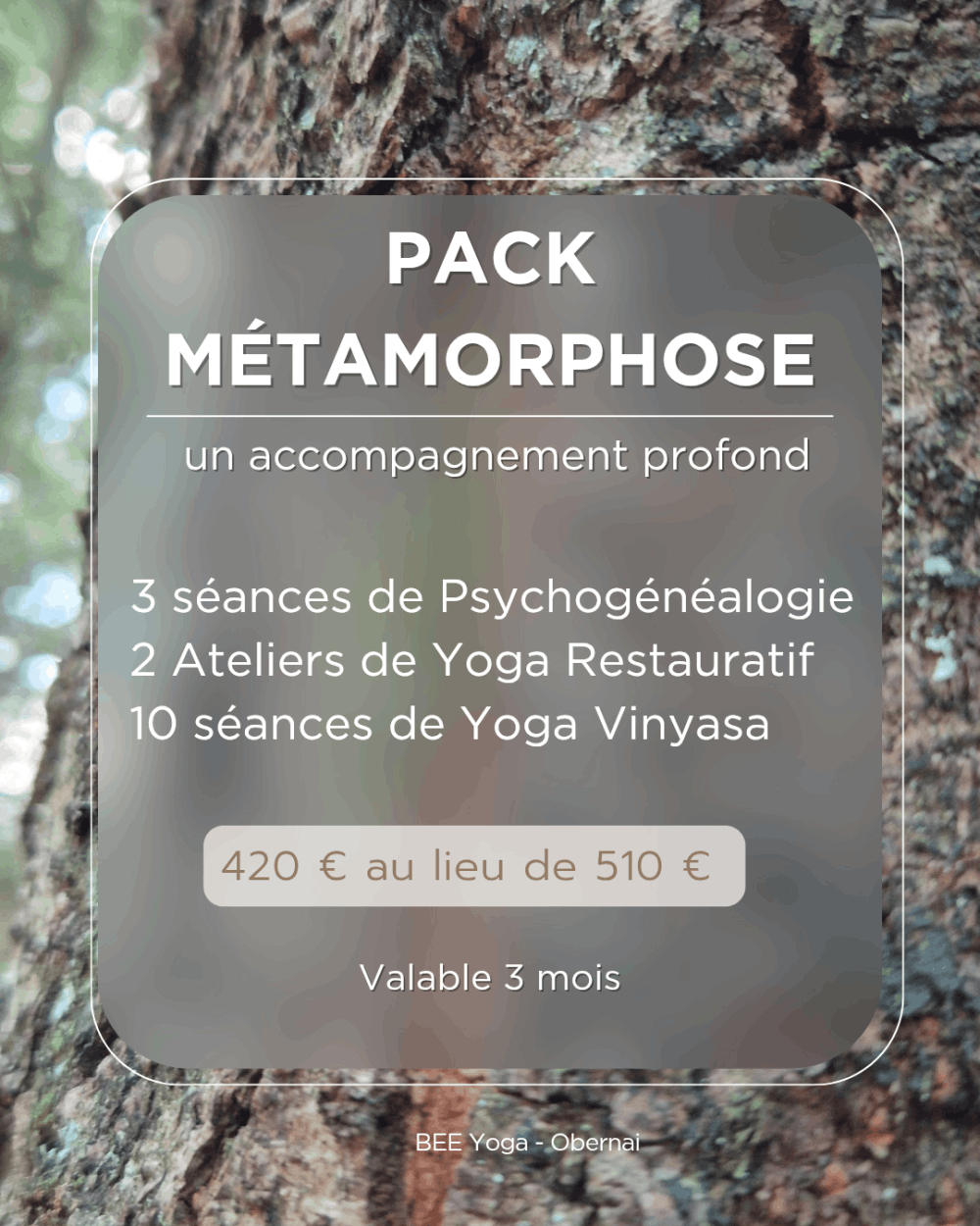 Tarif Pack Métamorphose Bee Yoga Obernai