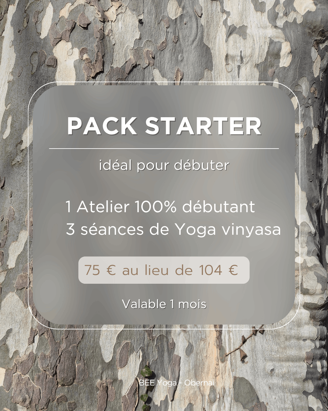 Tarif Pack Starter Bee Yoga Obernai